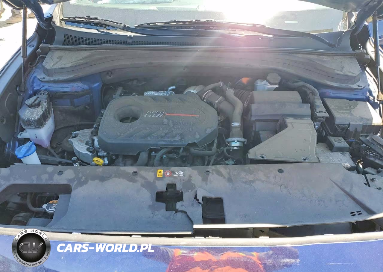 2020 Hyundai Santa Fe Sel 2.0T VIN:5NMS3CAA5LH297490 - 12