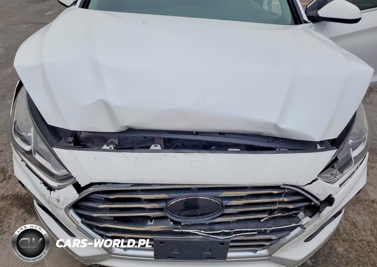 2019 Hyundai Sonata VIN:5NPE24AF9KH803051 - 11