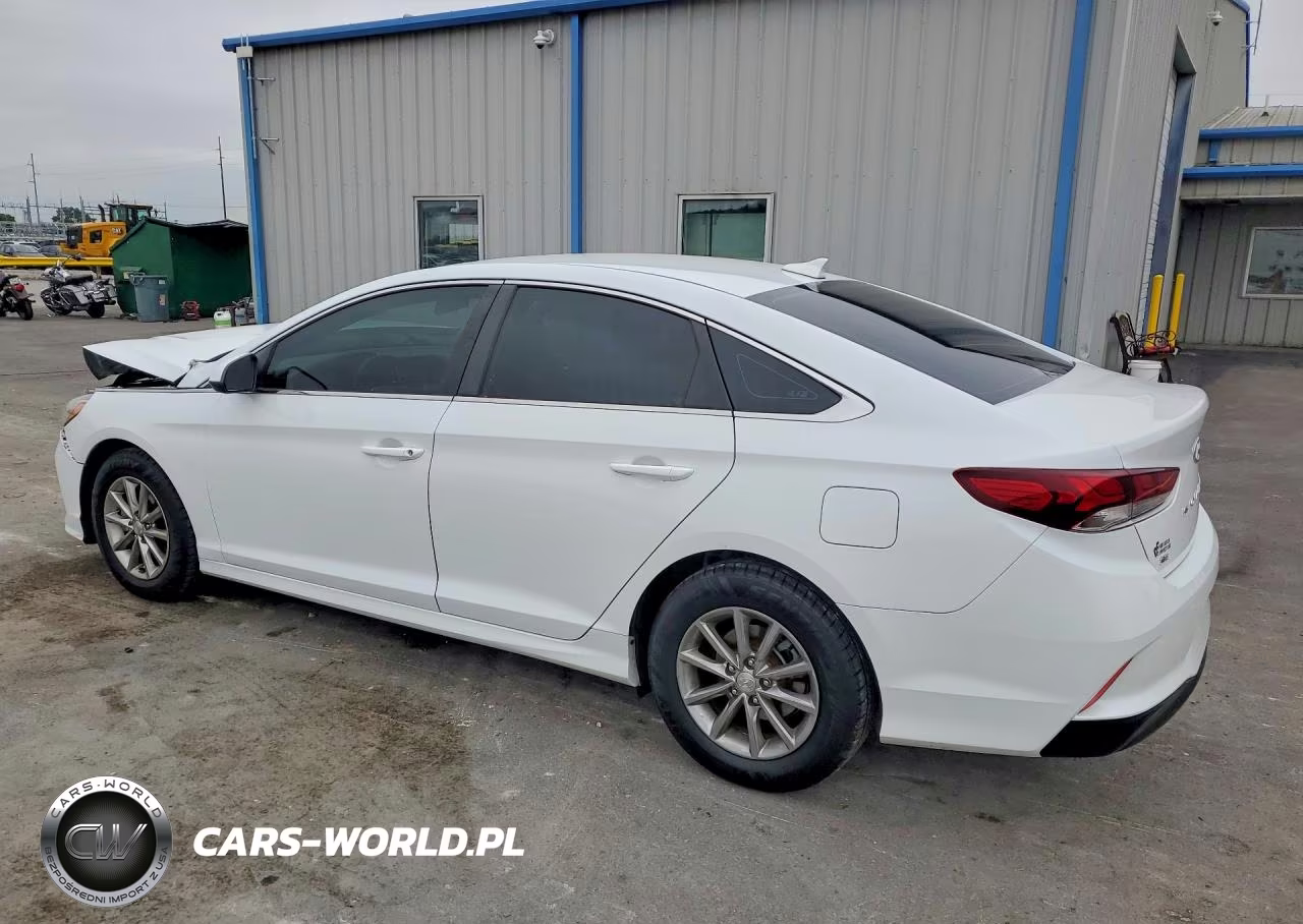 2019 Hyundai Sonata VIN:5NPE24AF9KH803051 - 2