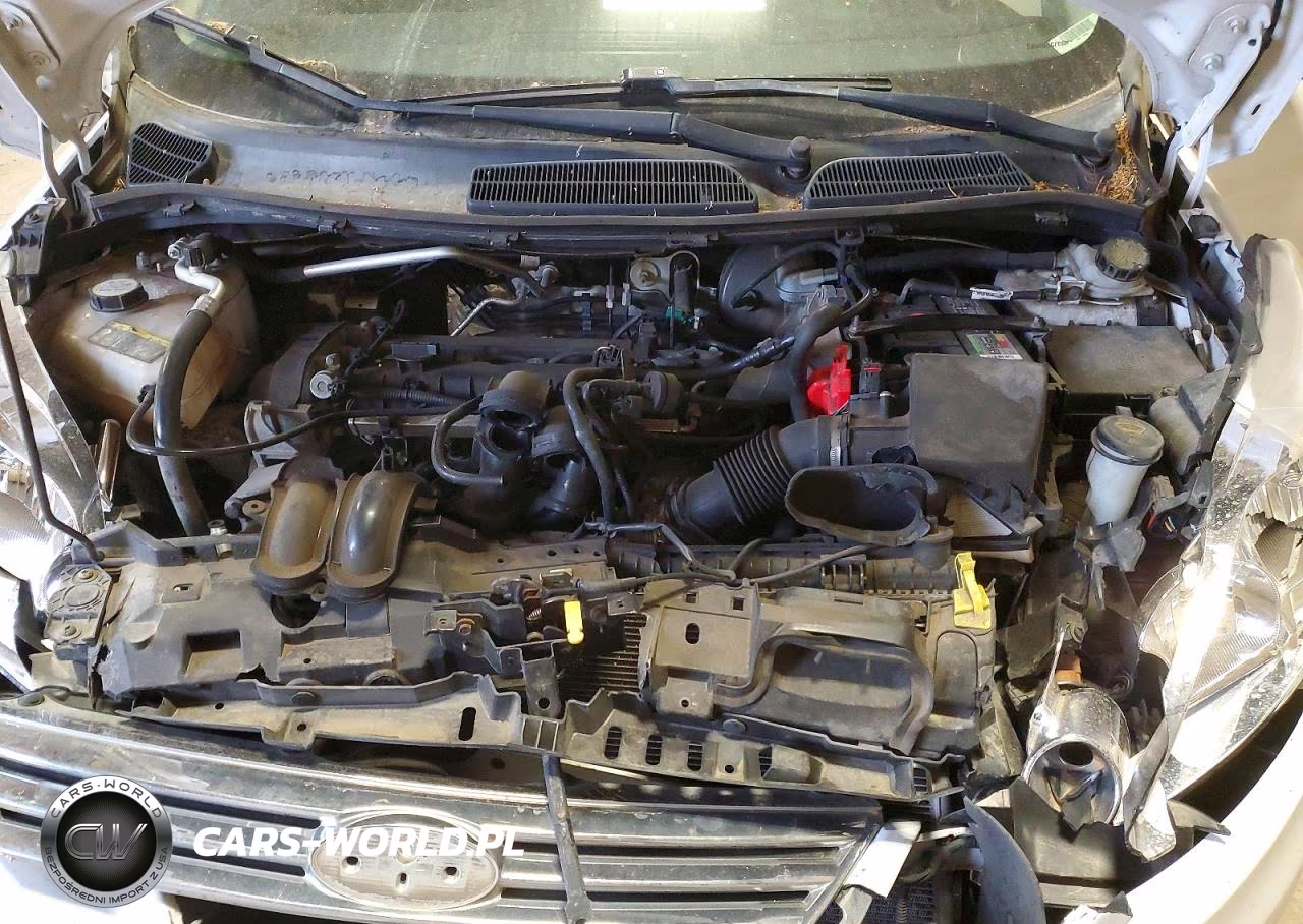 2013 Ford Fiesta Se VIN:3FADP4BJ6DM144431 - 11
