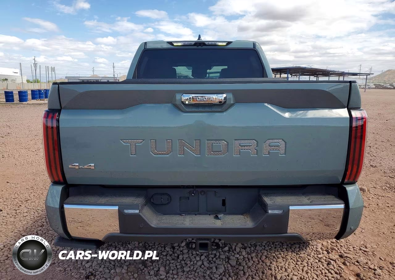 2024 Toyota Tundra 1794 Edition VIN:5TFMA5DB6RX219895 - 6