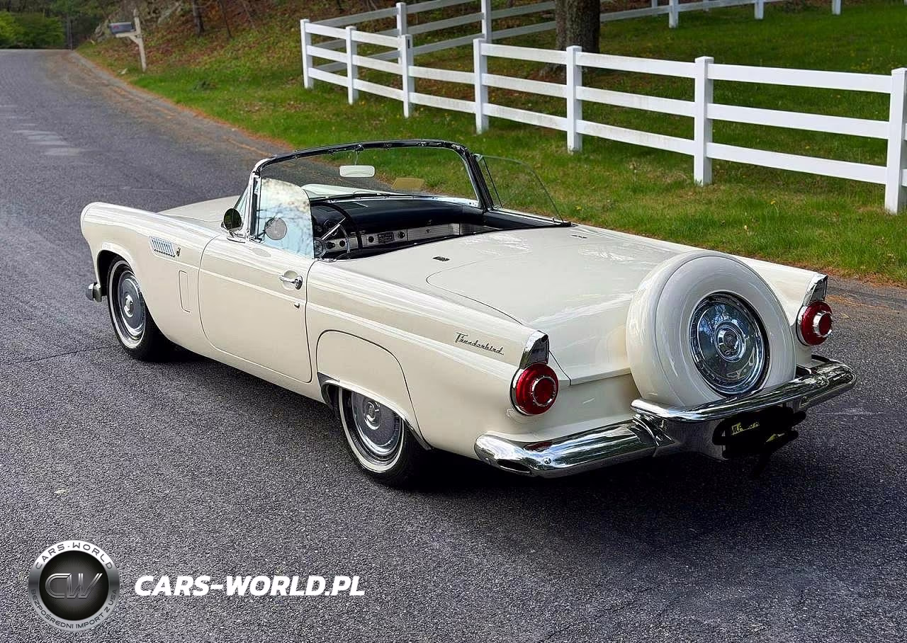 1956 Ford Thunderbird VIN:P6FH333823 - 3