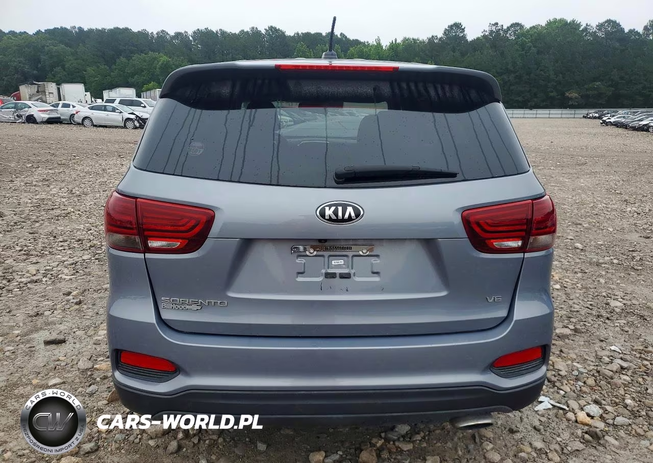 2020 Kia Sorento Lx V6 VIN:5XYPG4A59LG683116 - 6