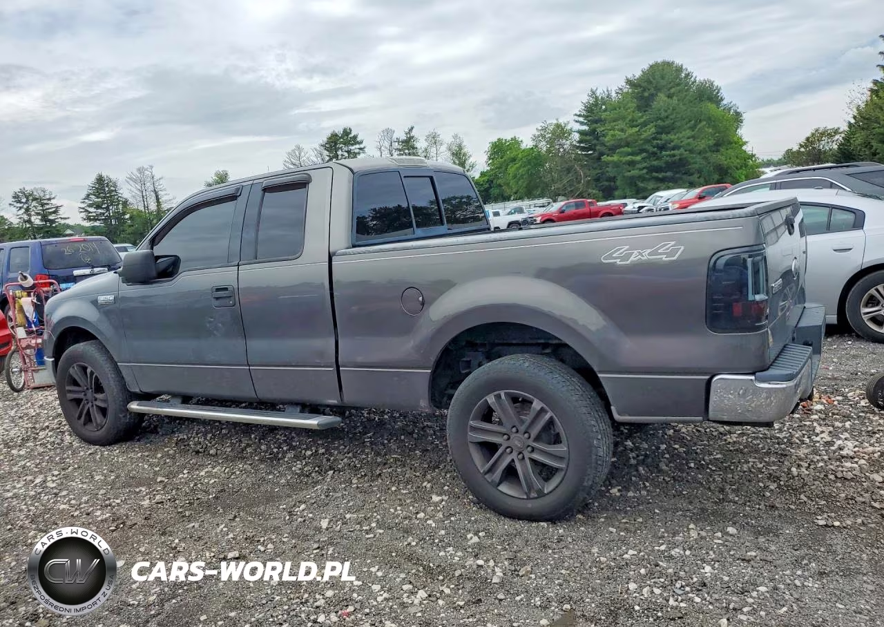2004 Ford F150 VIN:1FTRX14W34NB24859 - 2