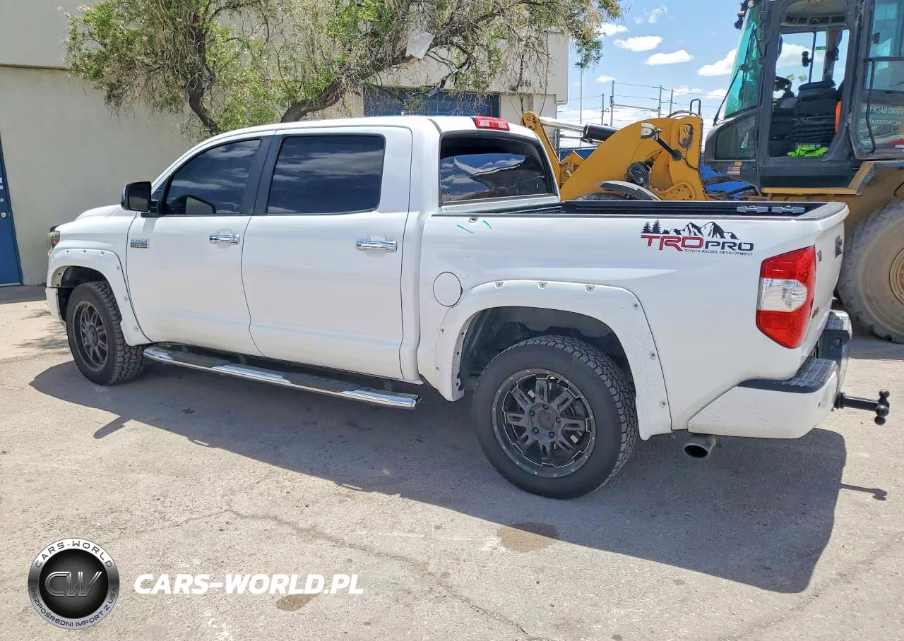 2017 Toyota Tundra Platinum VIN:5TFAW5F14HX650338 - 2