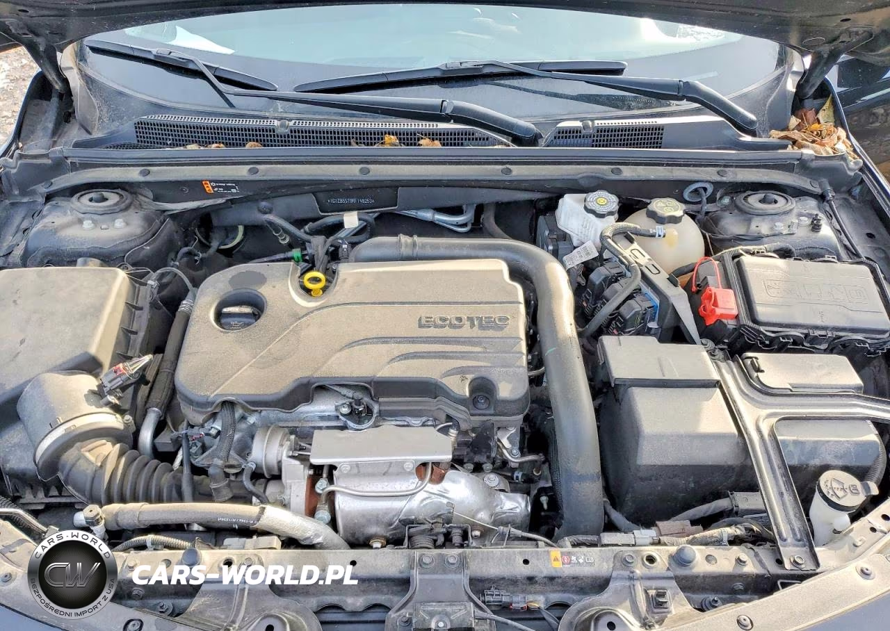 2024 Chevrolet Malibu Ls VIN:1G1ZB5ST9RF148253 - 11