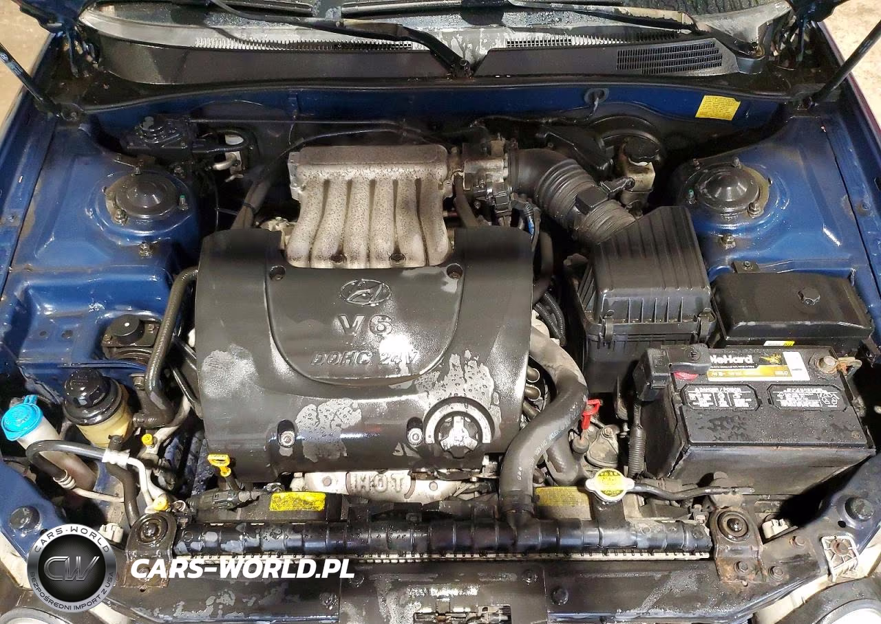 2005 Hyundai Sonata Gls VIN:KMHWF35H95A172811 - 11