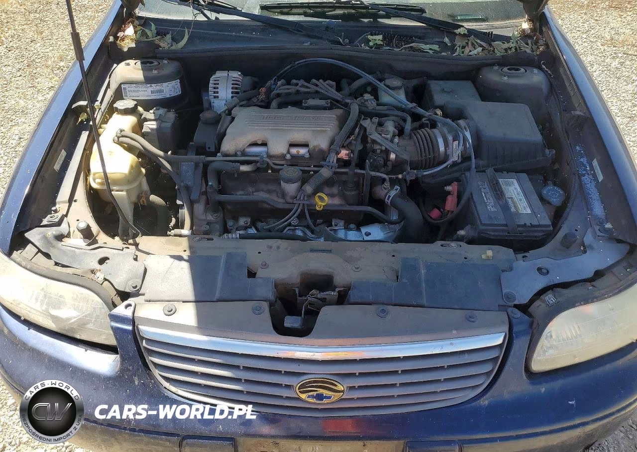 1999 Chevrolet Malibu VIN:1G1NE52M5X6249091 - 11