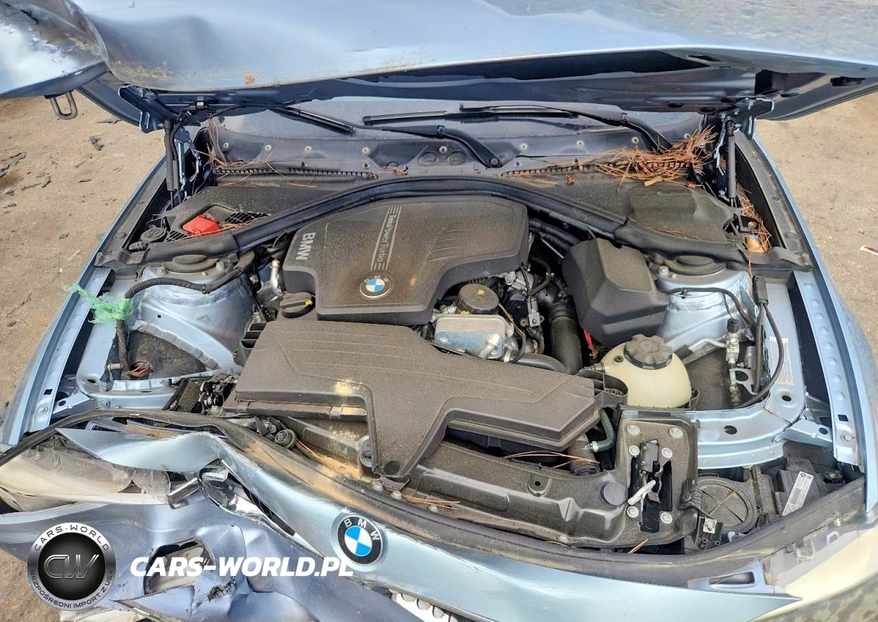 2014 BMW 320 I VIN:WBA3B1G51ENS77293 - 11