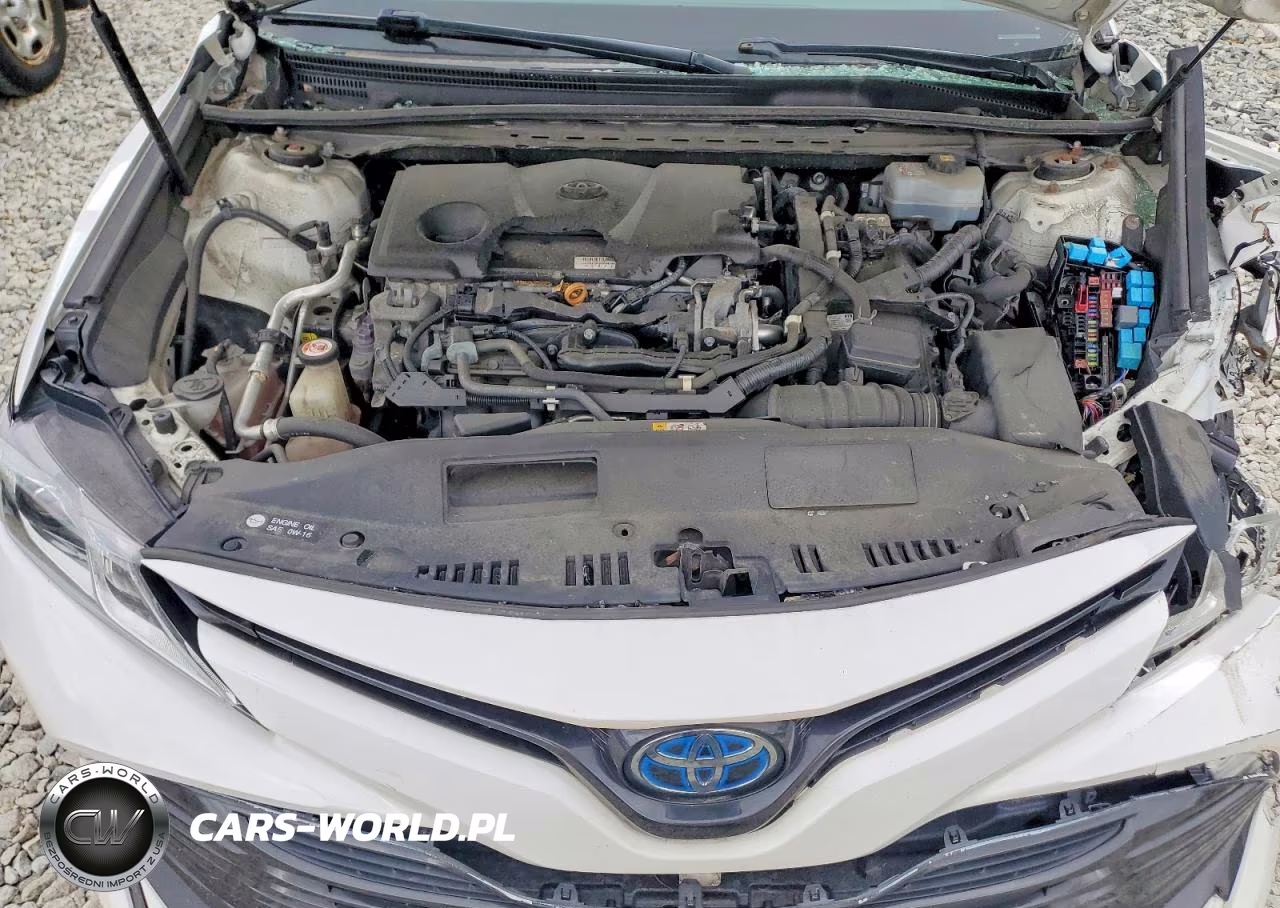 2019 Toyota Camry Le VIN:4T1B31HK7KU508968 - 11