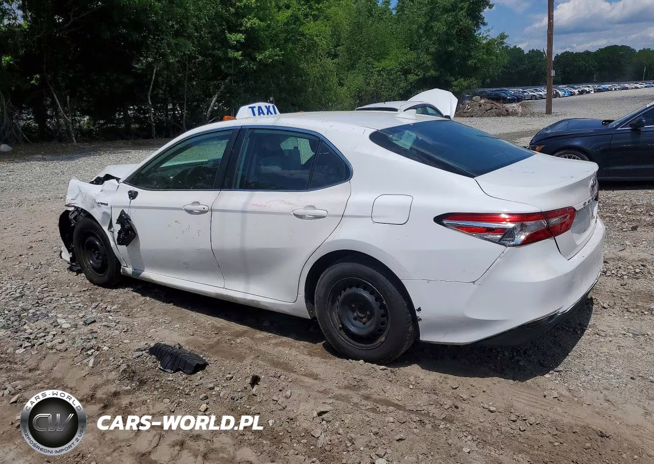 2019 Toyota Camry Le VIN:4T1B31HK7KU508968 - 2