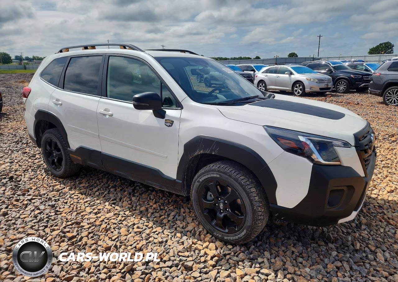 2024 Subaru Forester VIN:JF2SKAJC6RH525677 - 4