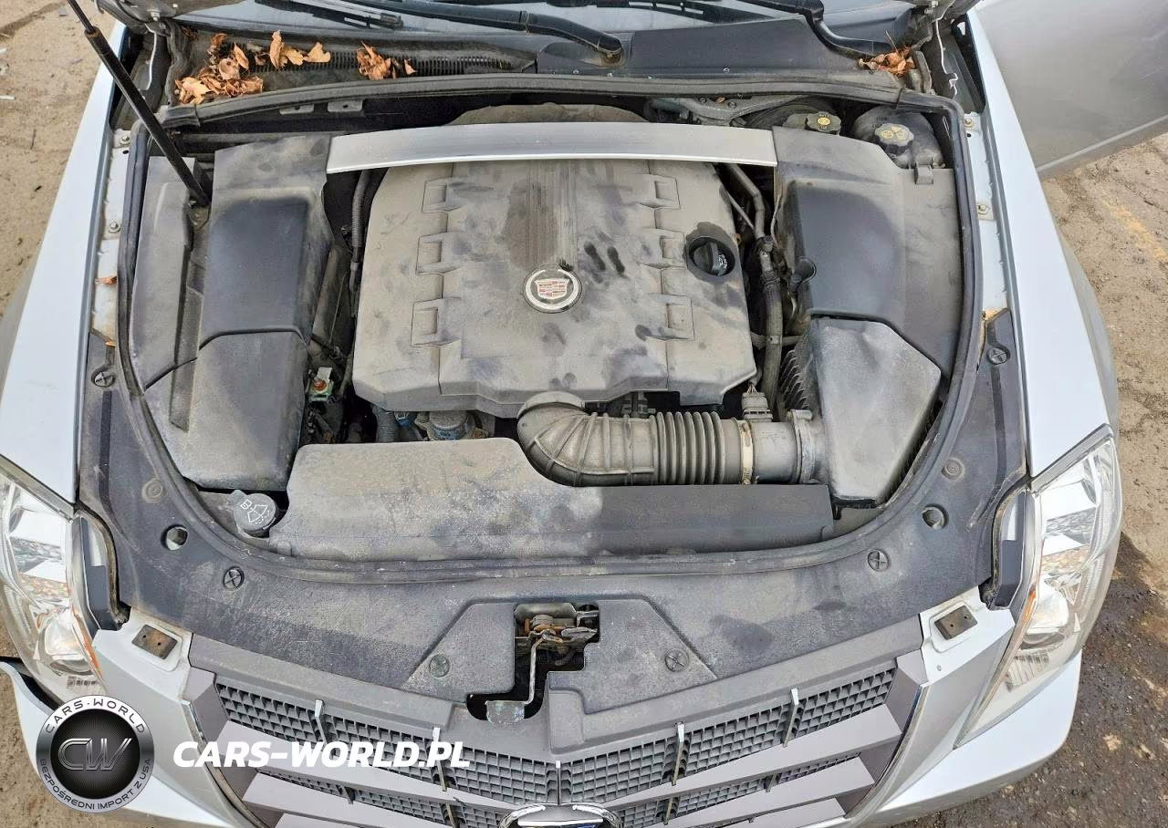 2011 Cadillac Cts Premium Collection VIN:1G6DS5ED2B0154302 - 11