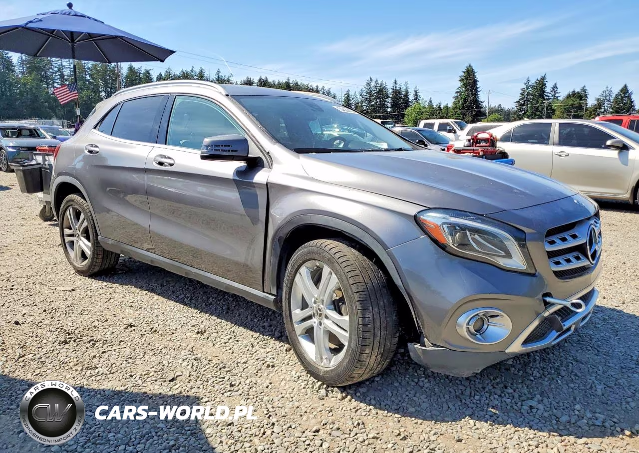 MERCEDES-BENZ GLA 250 4M VIN:WDCTG4GB5LJ659157 - 4