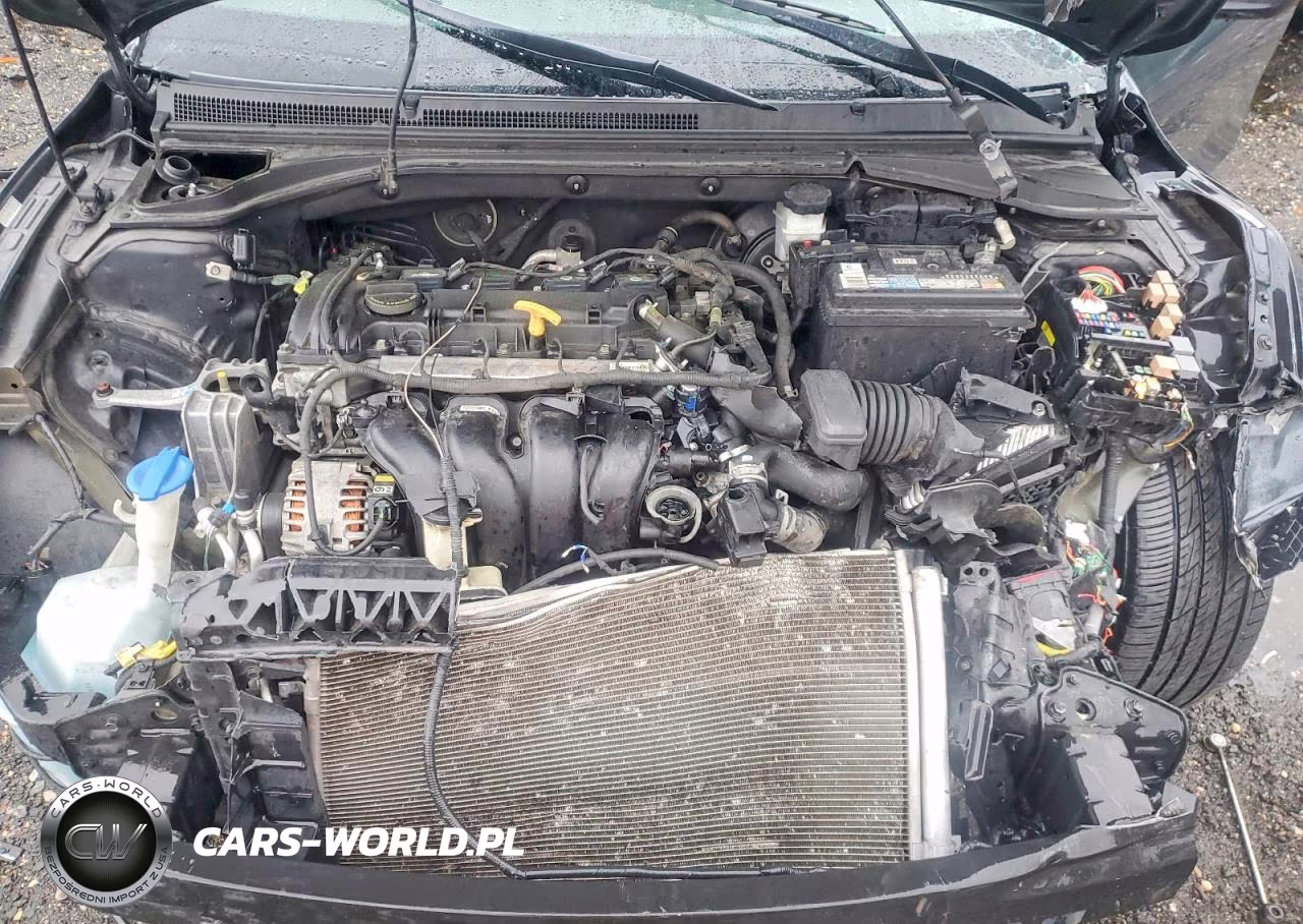 2019 Hyundai Veloster 2.0L Premium VIN:KMHTG6AF9KU008734 - 11