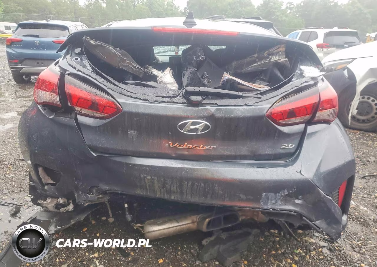 2019 Hyundai Veloster 2.0L Premium VIN:KMHTG6AF9KU008734 - 6