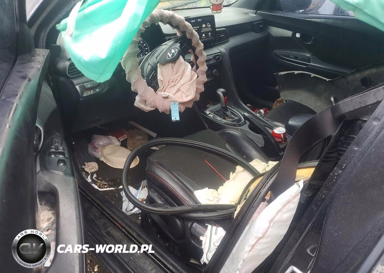 2019 Hyundai Veloster 2.0L Premium VIN:KMHTG6AF9KU008734 - 8