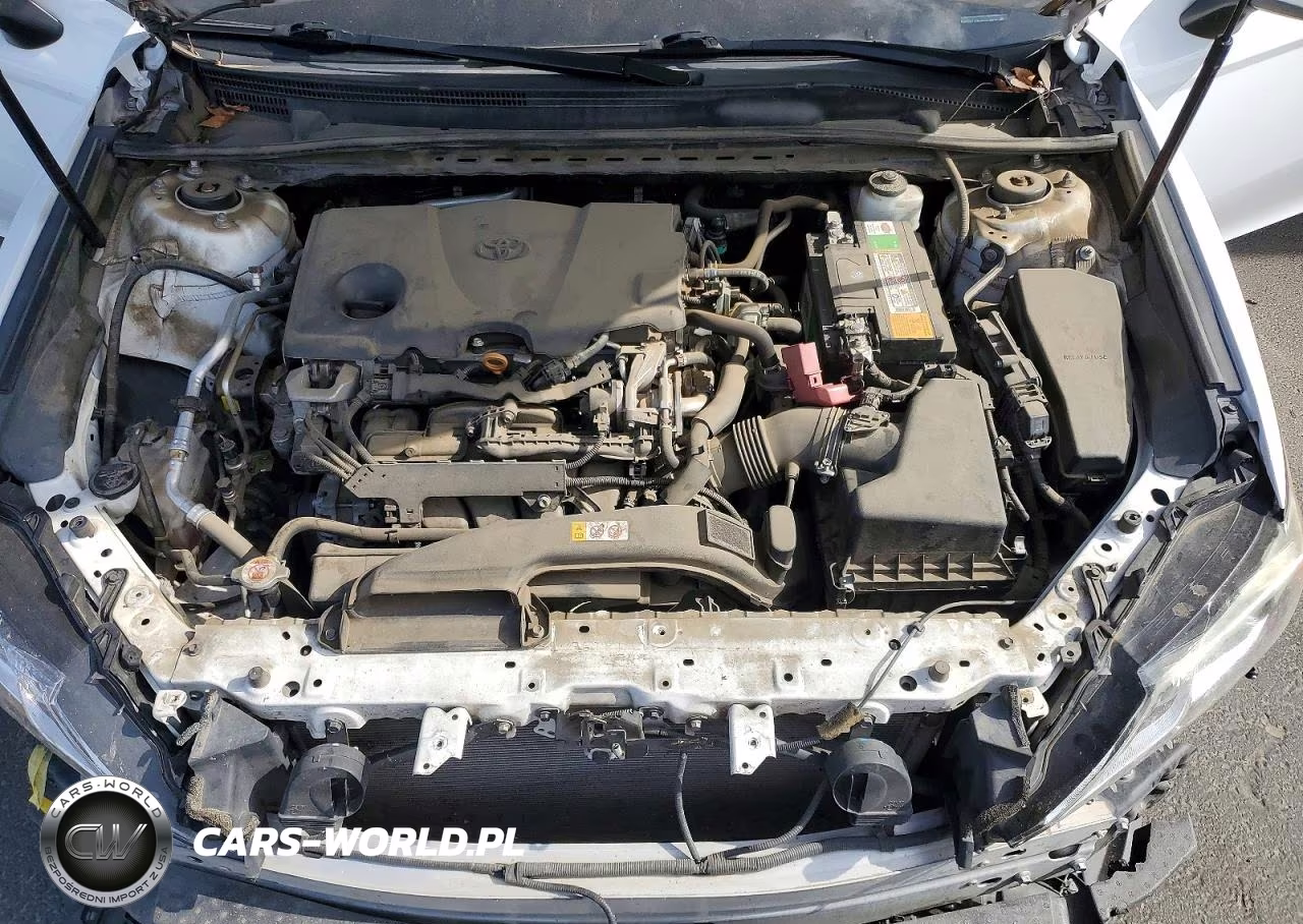2019 Toyota Camry Se VIN:4T1B11HK3KU279632 - 11