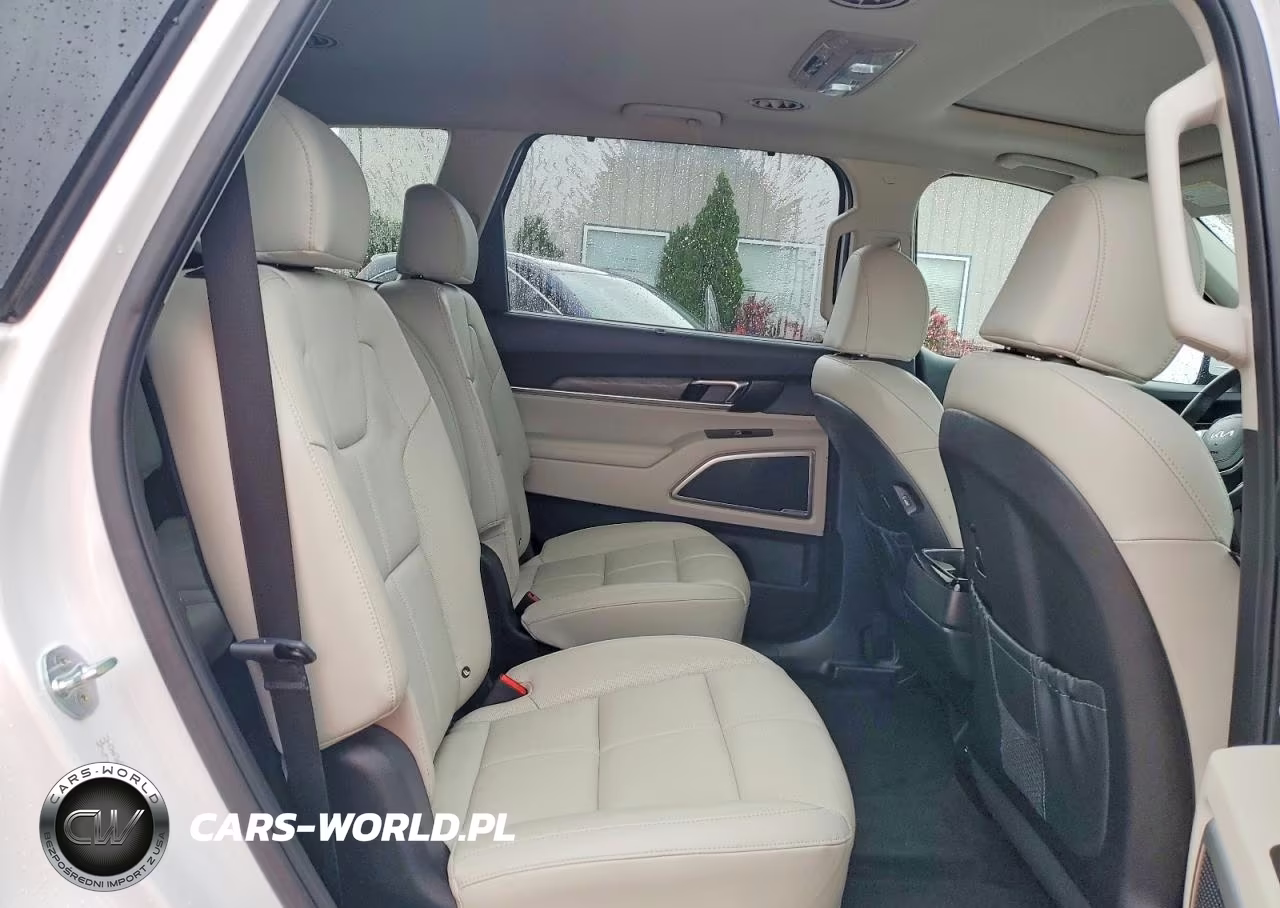 2022 Kia Telluride Ex VIN:5XYP3DHCXNG324456 - 11