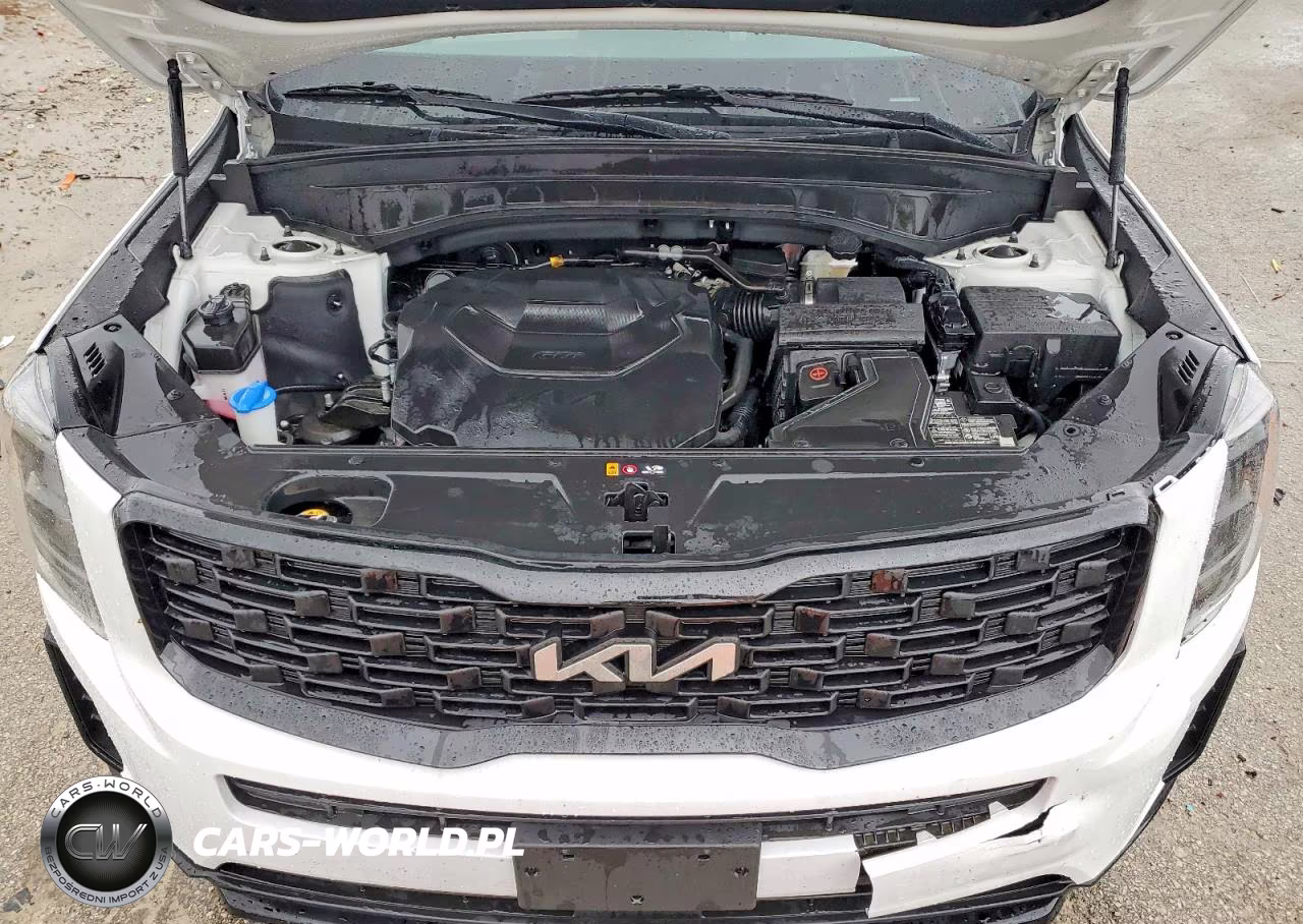 2022 Kia Telluride Ex VIN:5XYP3DHCXNG324456 - 12