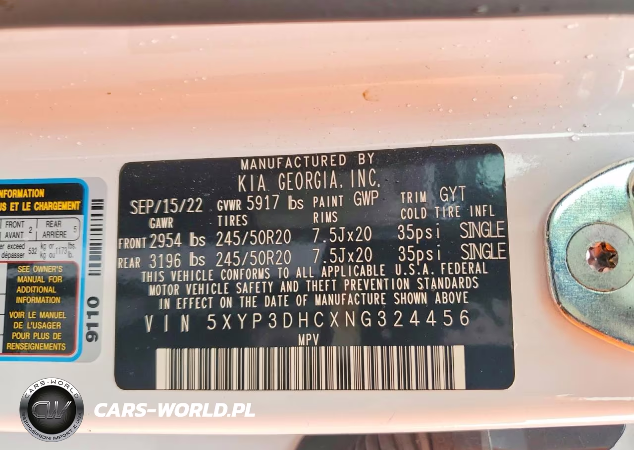 2022 Kia Telluride Ex VIN:5XYP3DHCXNG324456 - 13