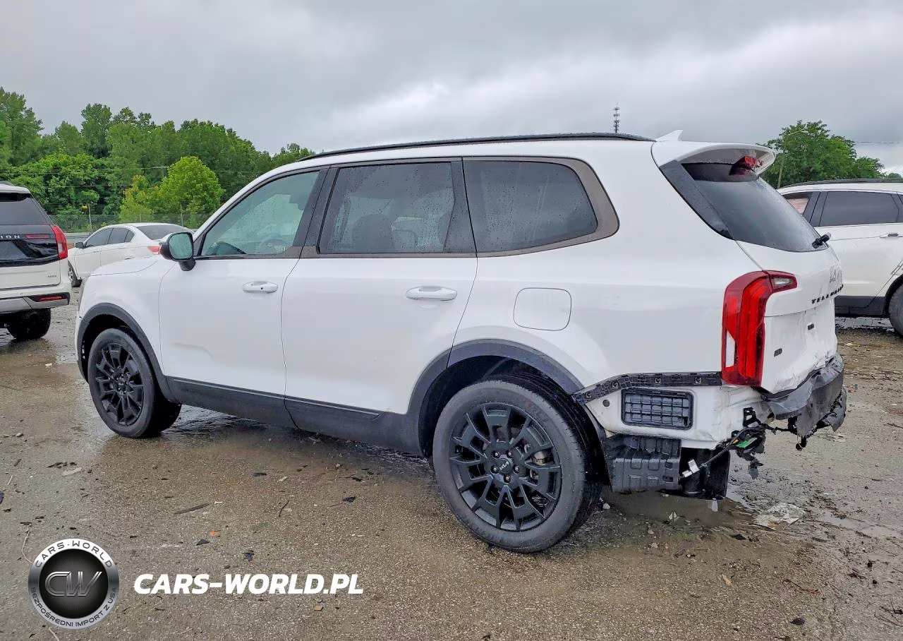 2022 Kia Telluride Ex VIN:5XYP3DHCXNG324456 - 2