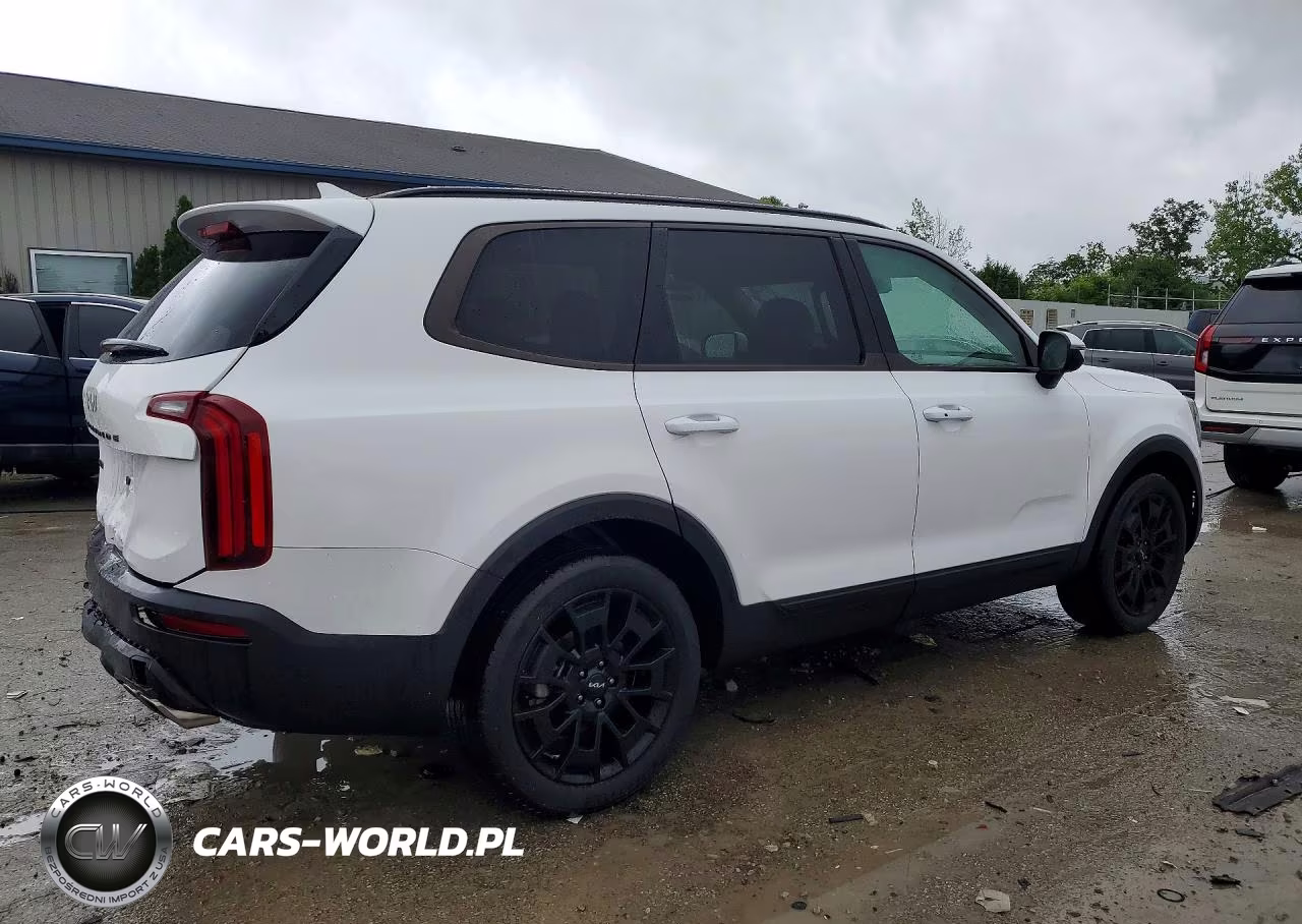 2022 Kia Telluride Ex VIN:5XYP3DHCXNG324456 - 3