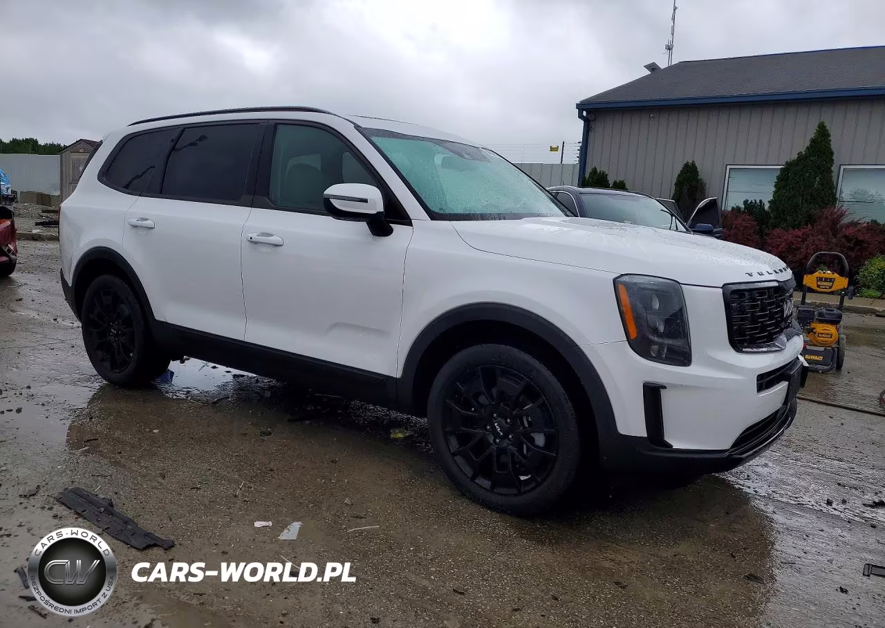 2022 Kia Telluride Ex VIN:5XYP3DHCXNG324456 - 4