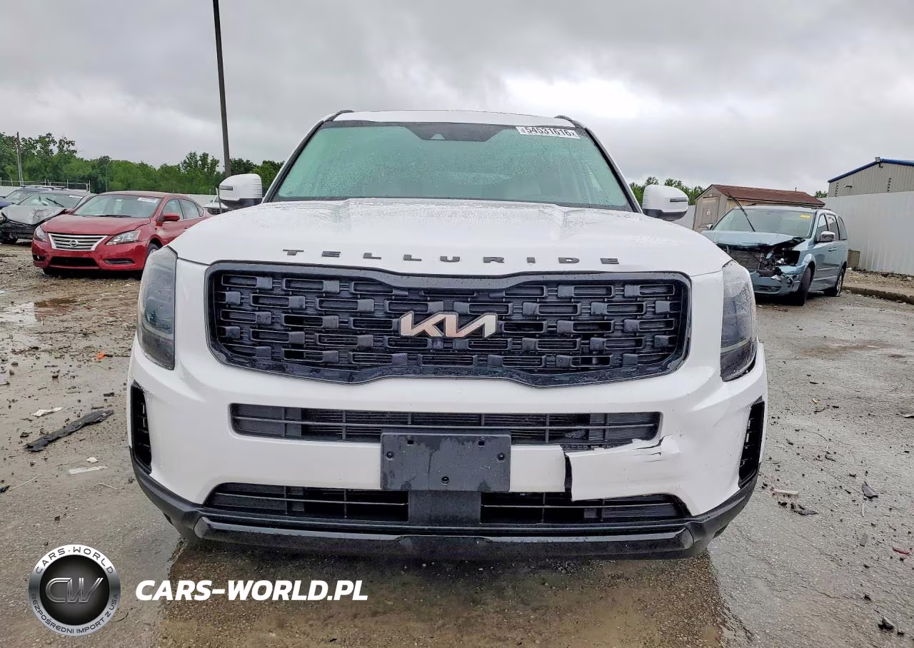 2022 Kia Telluride Ex VIN:5XYP3DHCXNG324456 - 5