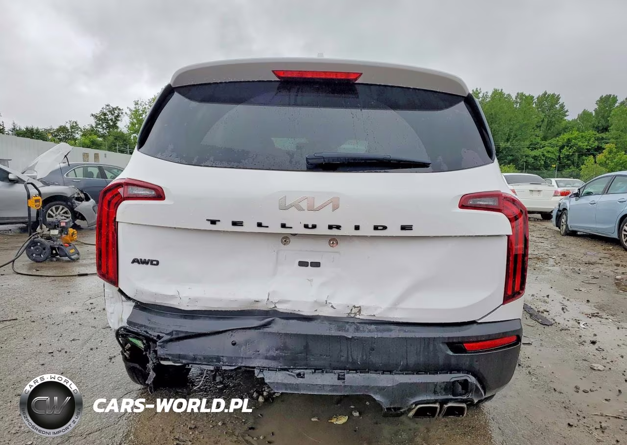 2022 Kia Telluride Ex VIN:5XYP3DHCXNG324456 - 6
