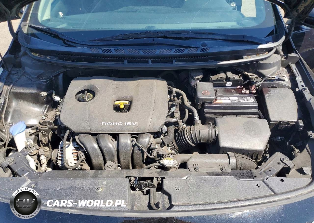 2017 Kia Forte VIN:3KPFK4A73HE152879 - 11