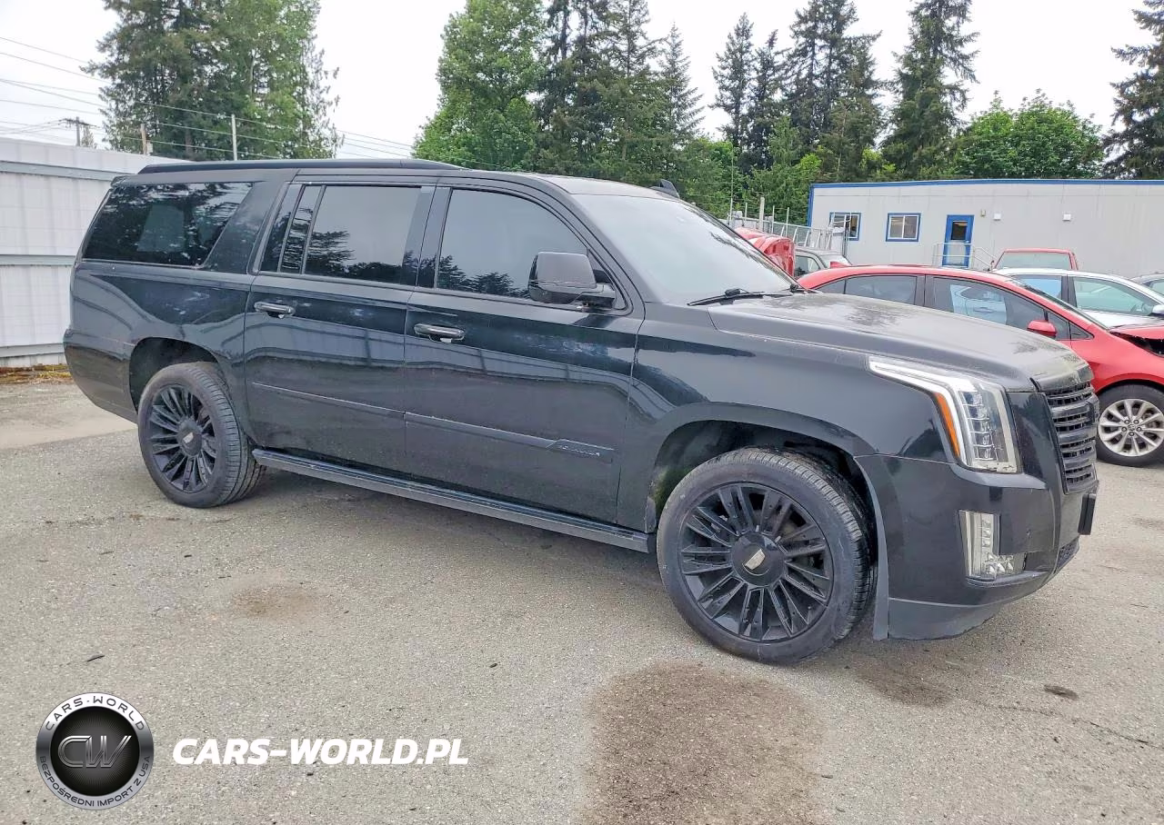 2016 Cadillac Escalade Esv Platinum VIN:1GYS4KKJ1GR110621 - 4
