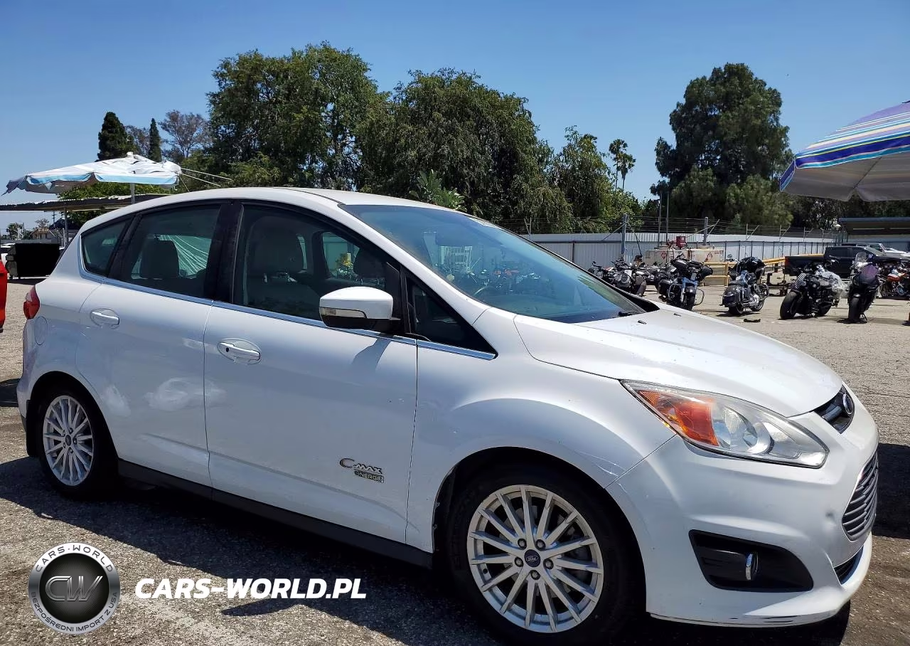 2016 Ford C-Max Premium Sel VIN:1FADP5CU1GL111308 - 4