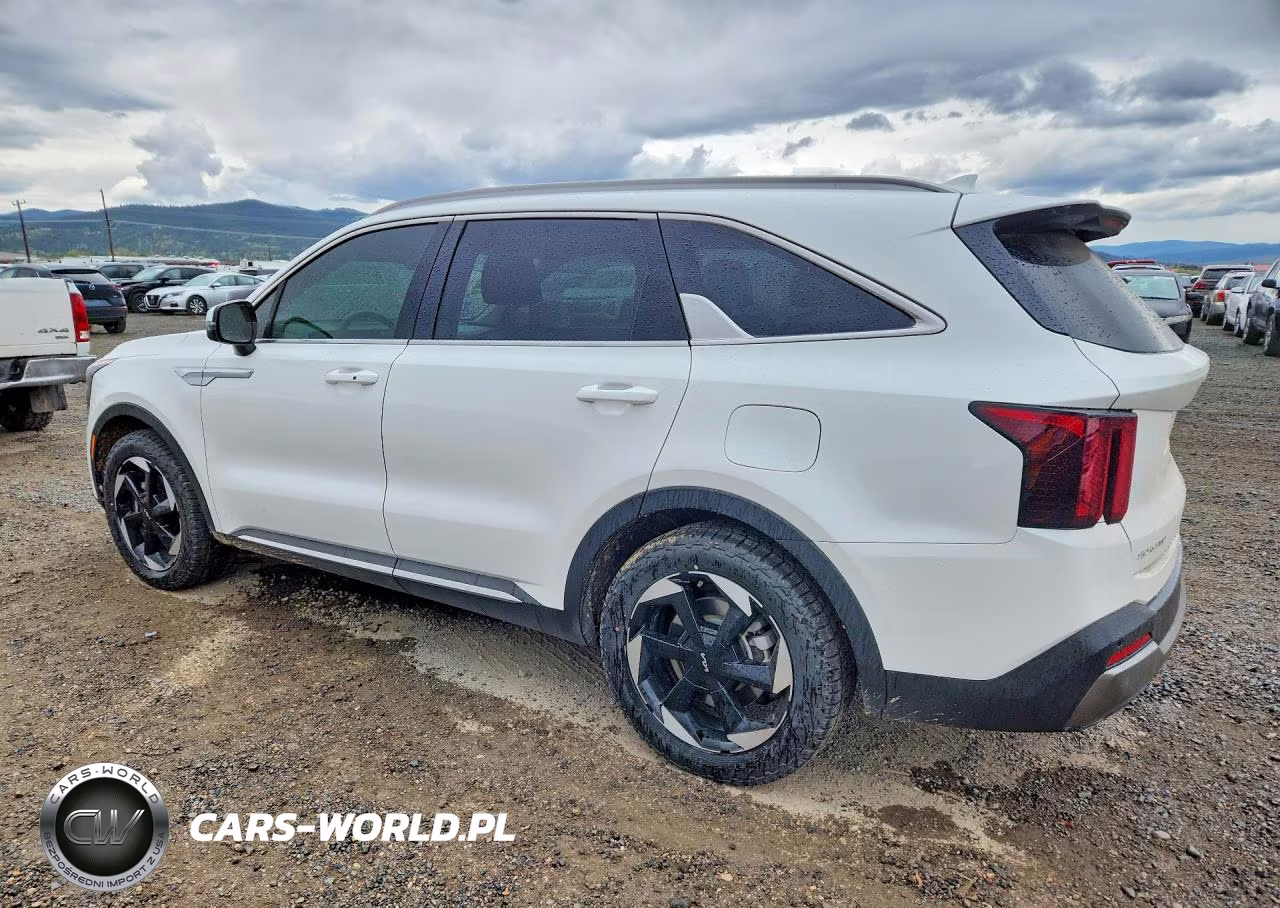 2025 Kia Sorento Ex VIN:KNDRHDJG5S5286890 - 2