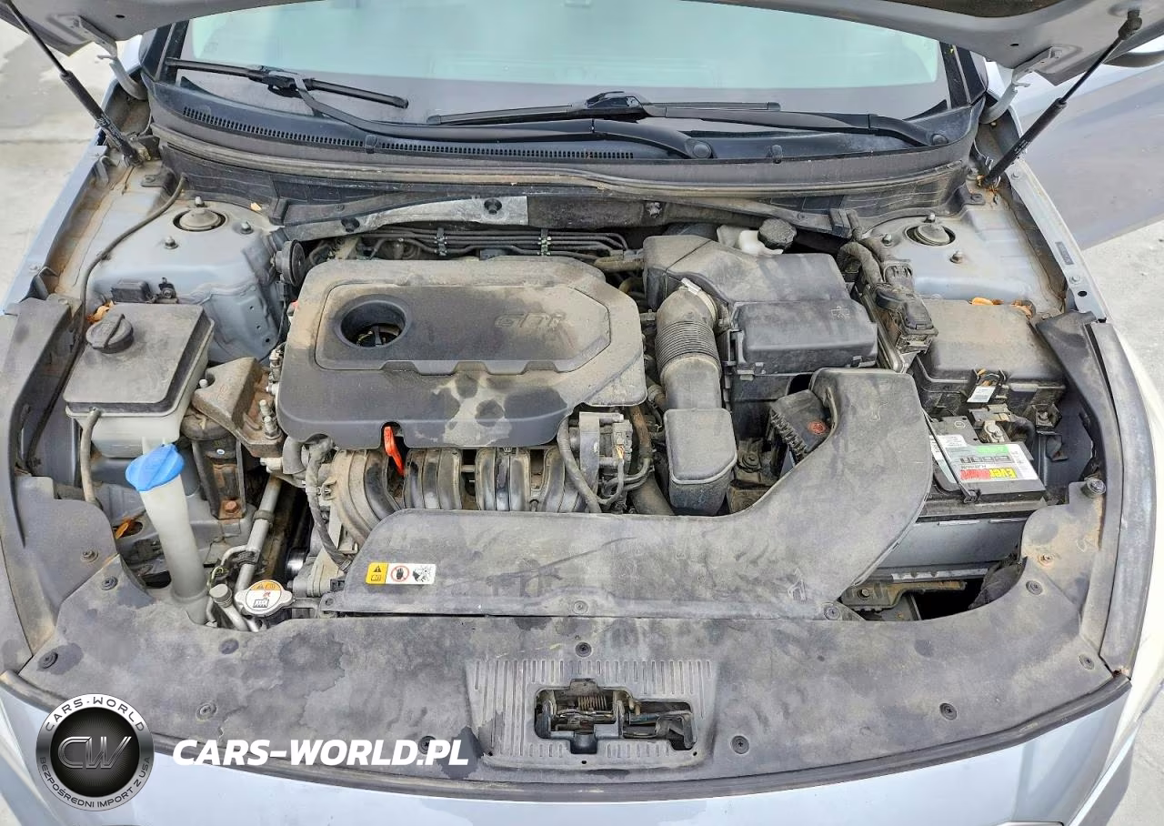 2015 Hyundai Sonata Se VIN:5NPE24AF4FH009225 - 11