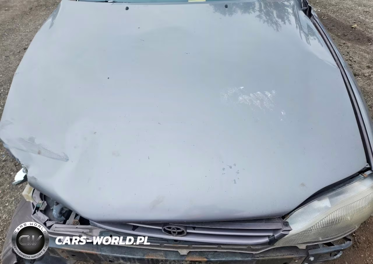 1996 Toyota Camry Dx VIN:4T1BG12KXTU814531 - 11