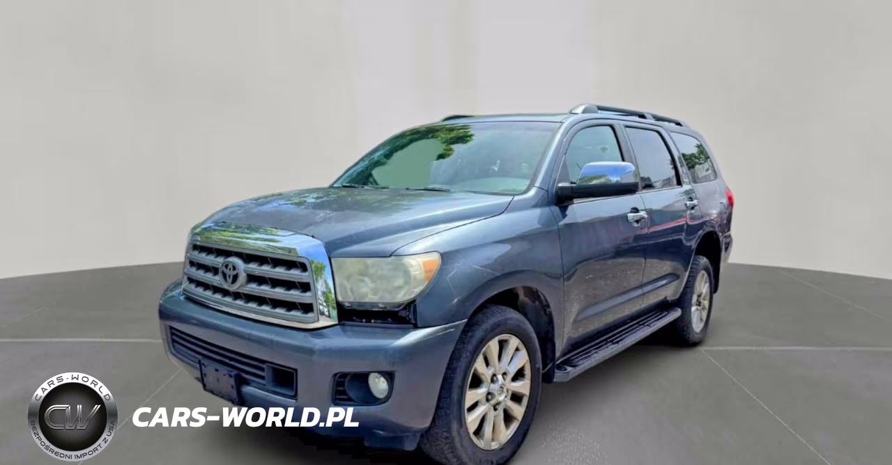 2010 Toyota Sequoia Platinum VIN:5TDDY5G18AS033686 - 2