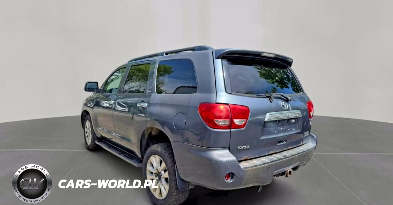 2010 Toyota Sequoia Platinum VIN:5TDDY5G18AS033686 - 3