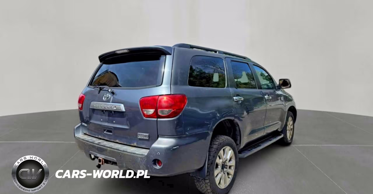 2010 Toyota Sequoia Platinum VIN:5TDDY5G18AS033686 - 4