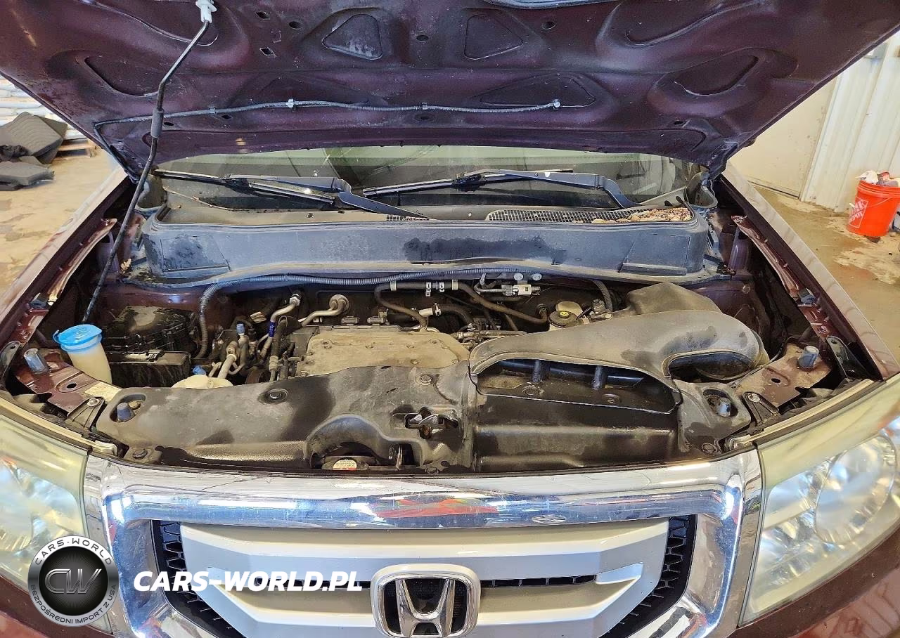 2011 Honda Pilot Ex VIN:5FNYF4H41BB007379 - 12