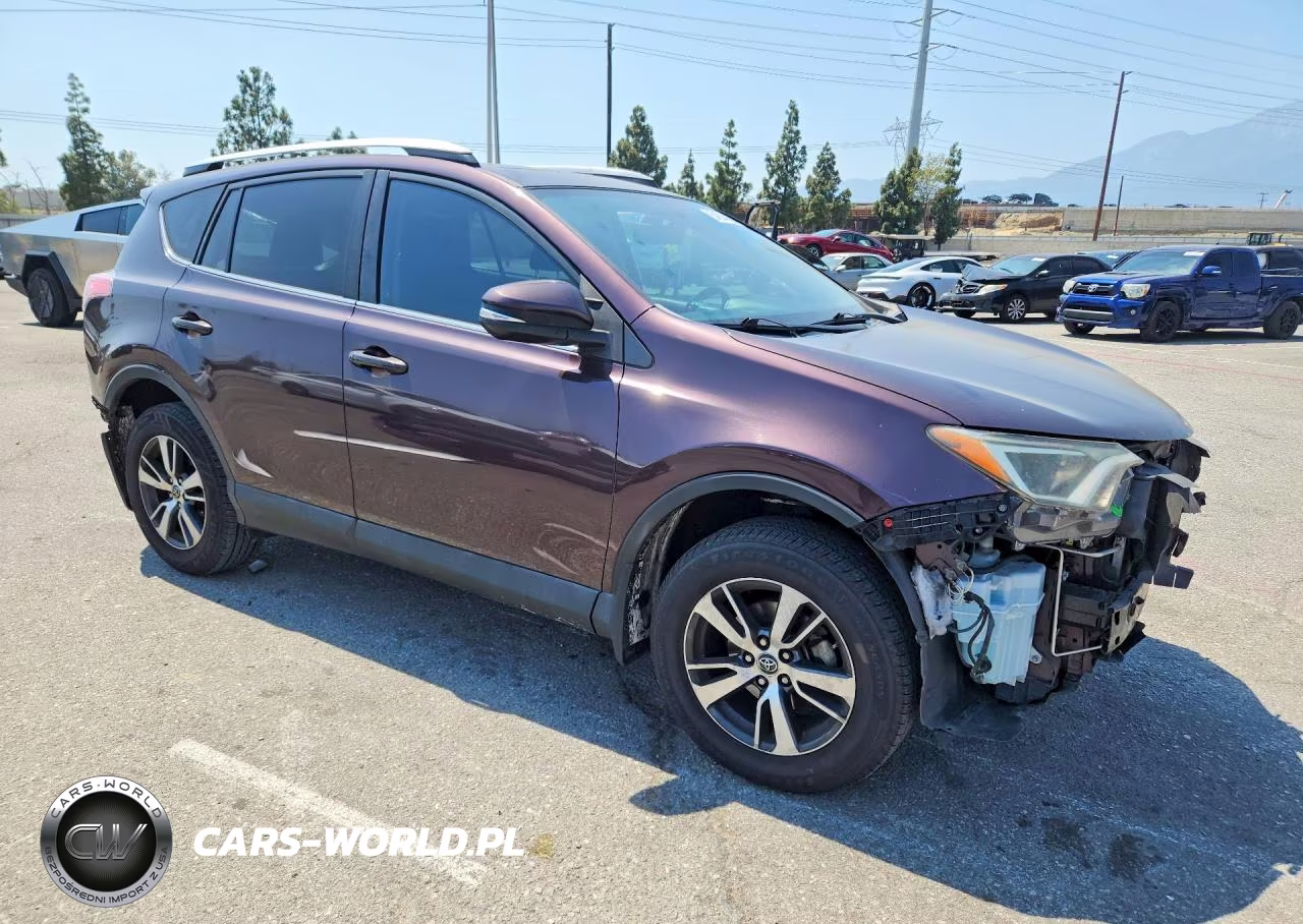 2016 Toyota Rav4 Xle VIN:2T3WFREV2GW298977 - 4