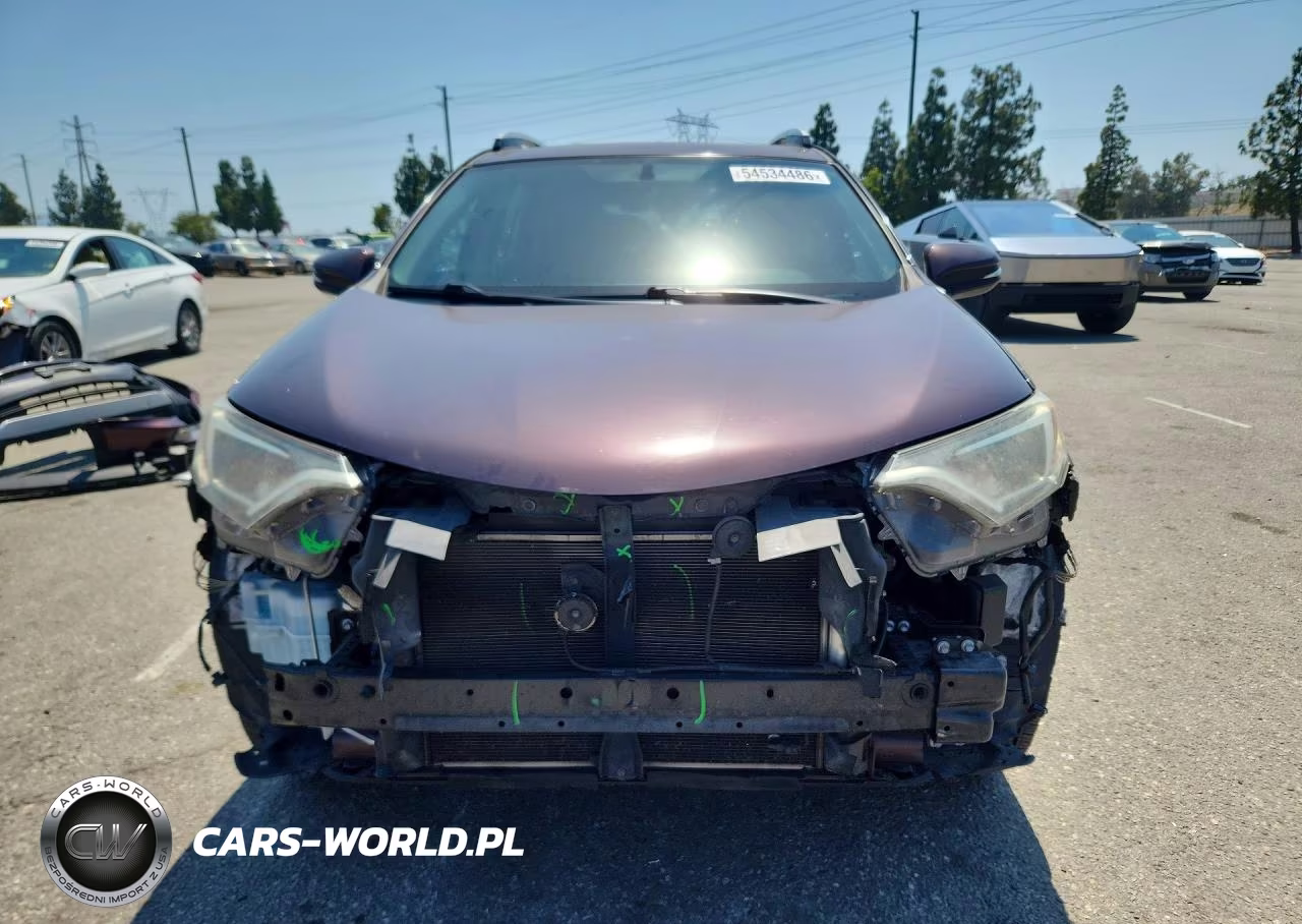2016 Toyota Rav4 Xle VIN:2T3WFREV2GW298977 - 5