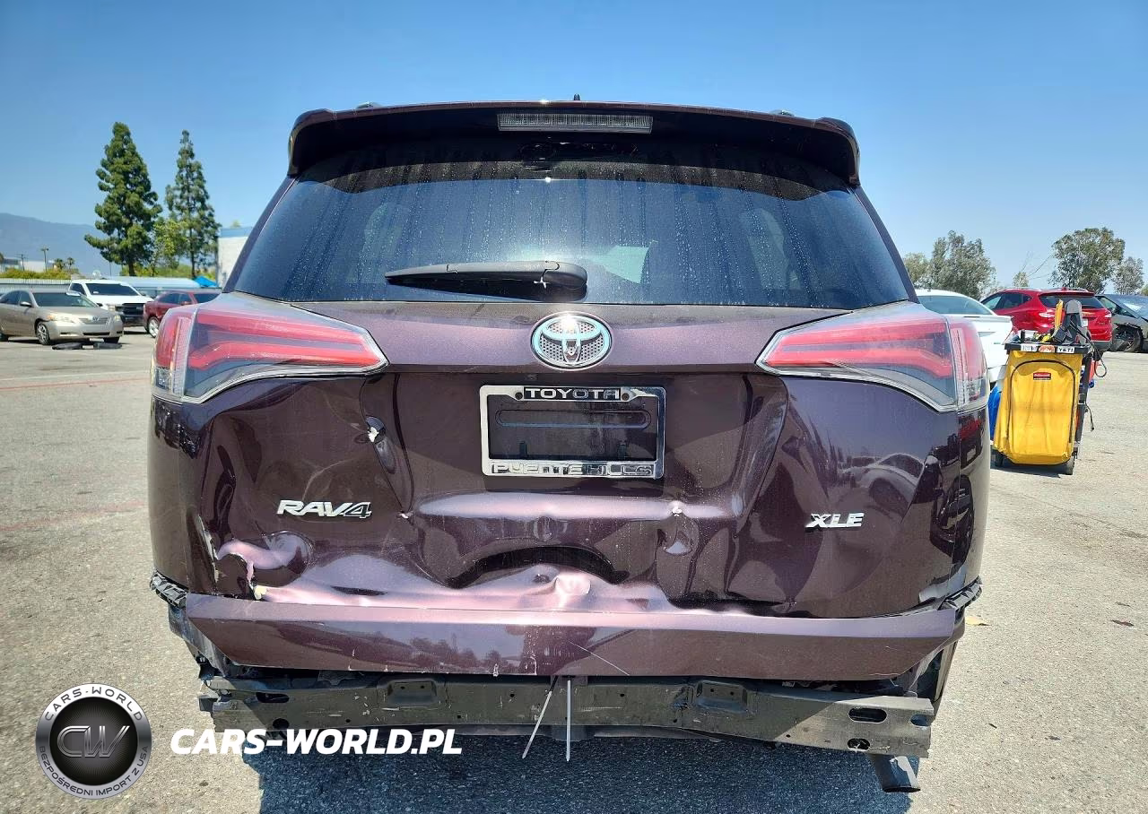 2016 Toyota Rav4 Xle VIN:2T3WFREV2GW298977 - 6