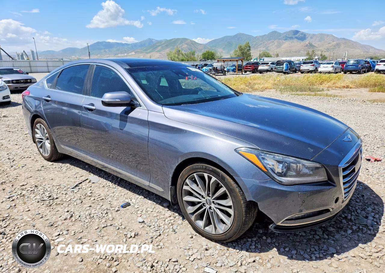 2015 Hyundai Genesis 3.8L VIN:KMHGN4JE3FU071742 - 4