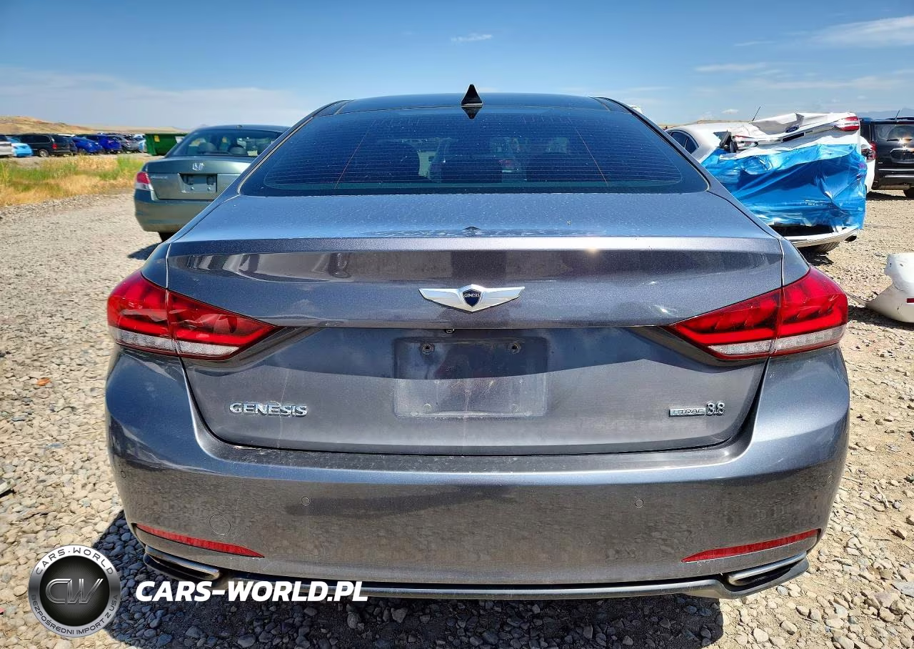 2015 Hyundai Genesis 3.8L VIN:KMHGN4JE3FU071742 - 6