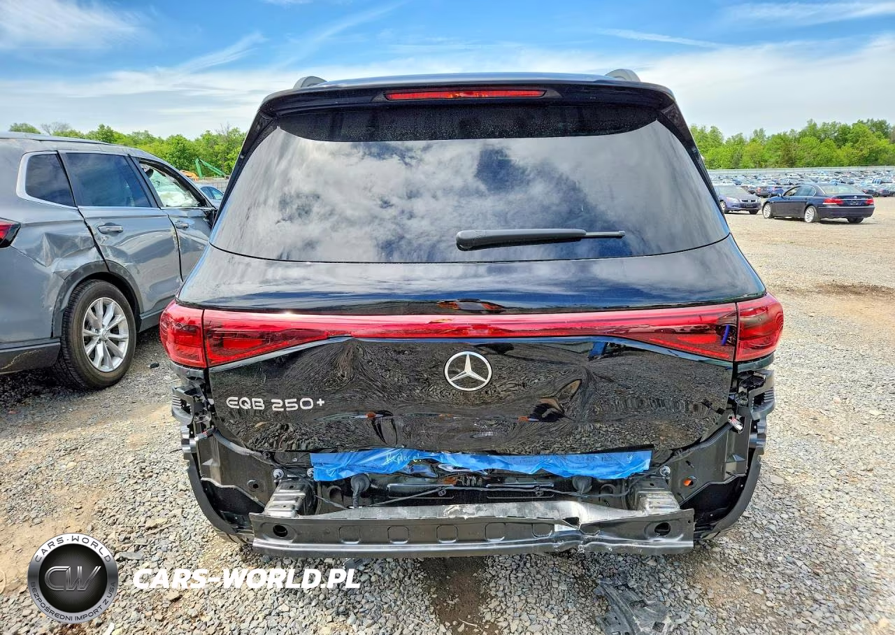 2024 Mercedes-Benz Eqb 250+ VIN:W1N9M0CB8RN108111 - 6
