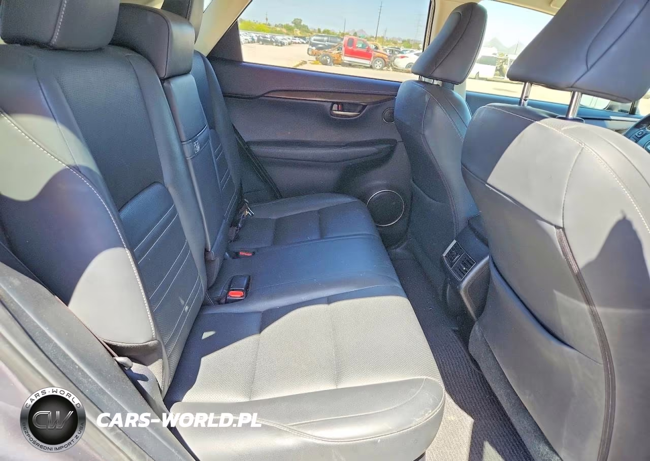 2015 Lexus Nx 200T VIN:JTJYARBZ9F2001044 - 10