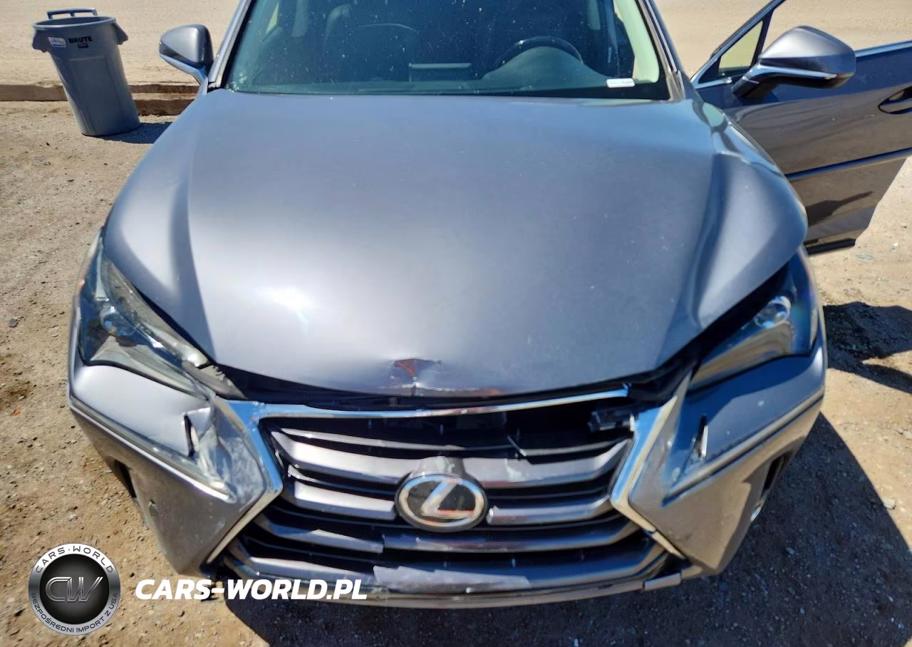 2015 Lexus Nx 200T VIN:JTJYARBZ9F2001044 - 11