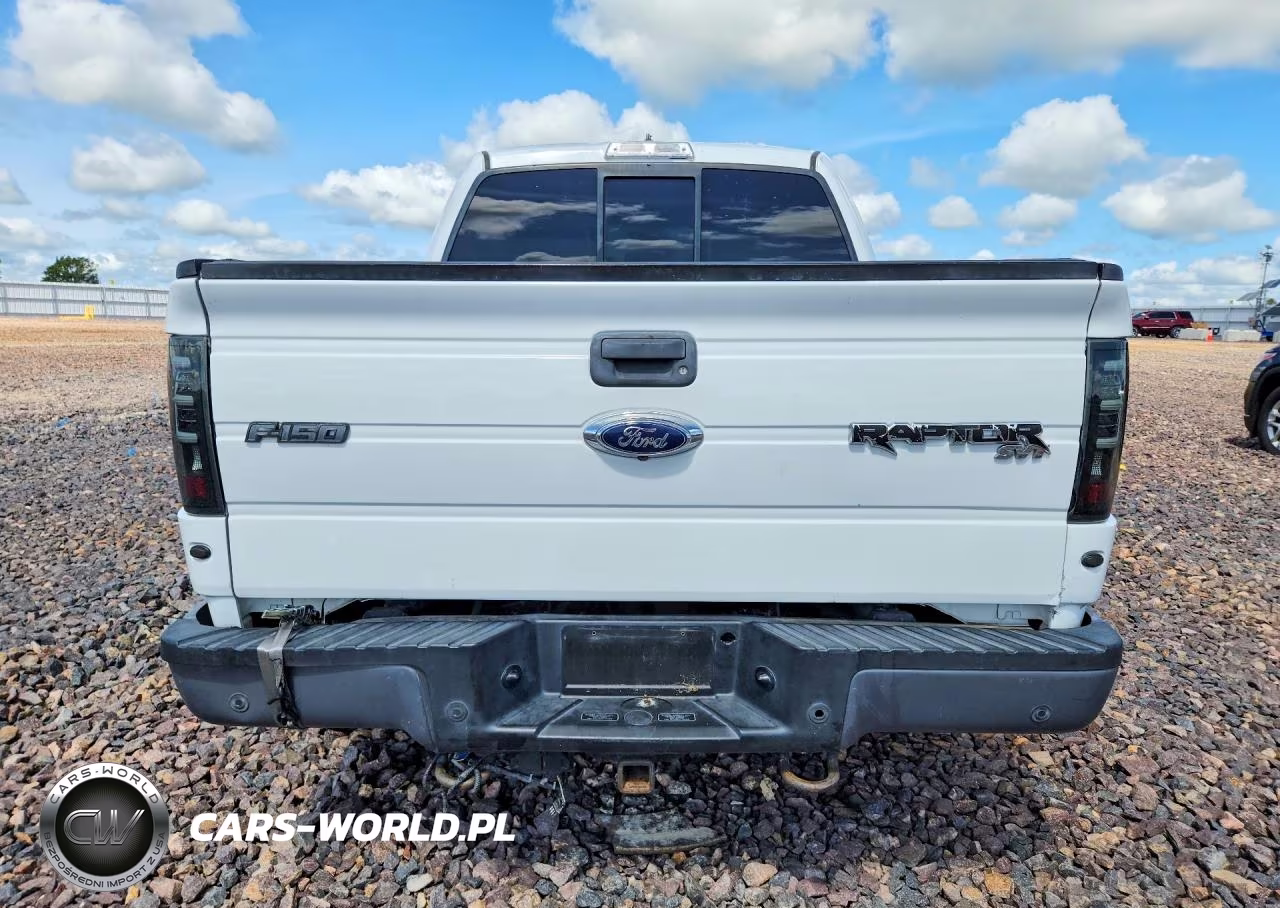 2013 Ford Raptor VIN:1FTFW1R65DFC30691 - 6