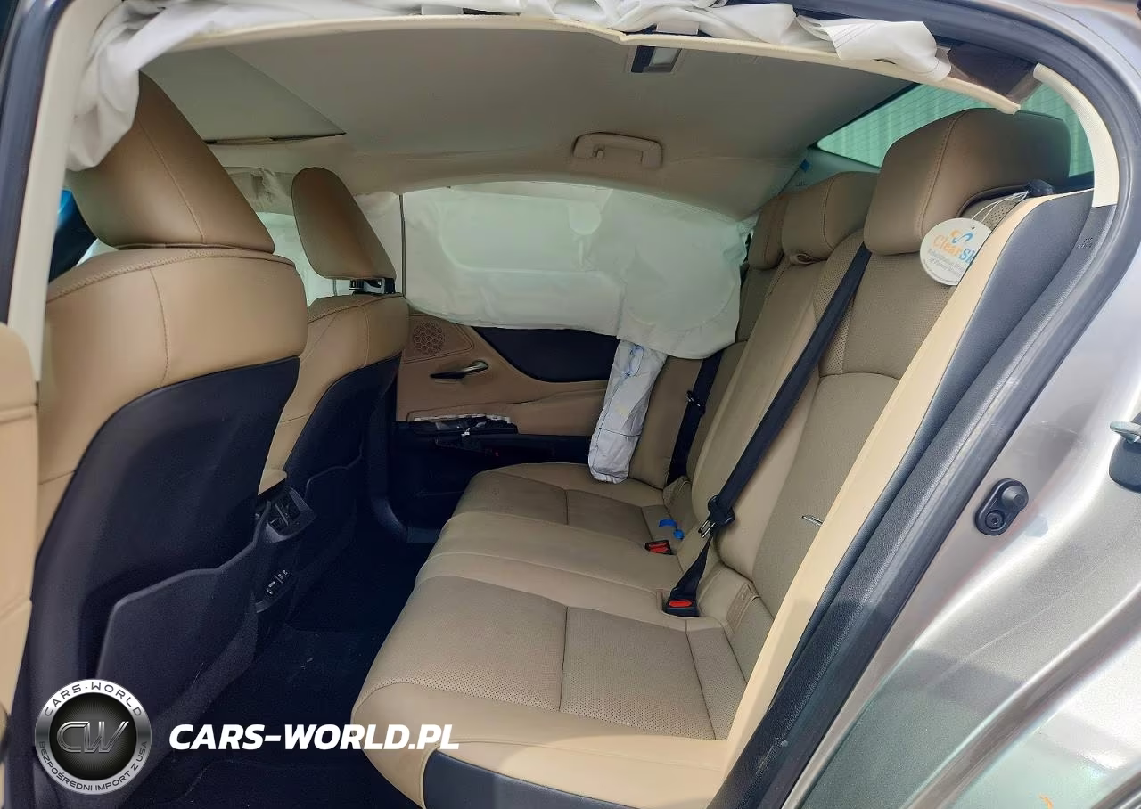 2020 Lexus Es 300H VIN:58AD21B17LU004510 - 10